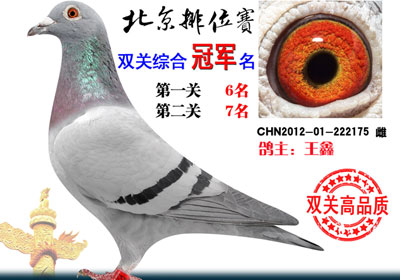 ����˫����λ���ھ��ĳ��߼�(ͼ)