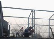 ���ֽ����¸���(ͼ)