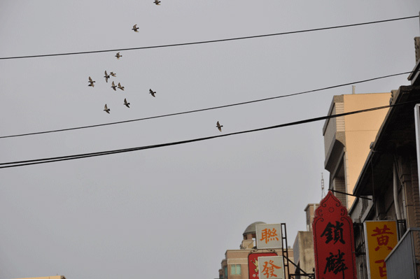 ��̨����С�