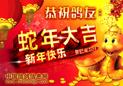 �й��Ÿ���Ϣ��ףȫ���Ա�´����֣�