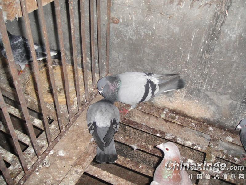 12���ϴƲ������һ�Ե�(ͼ)