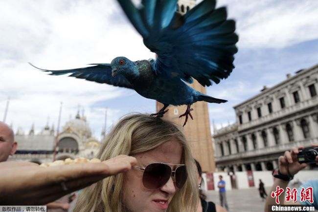 ����˹�ʸ������� ����������ӵ�Ǹ(ͼ)