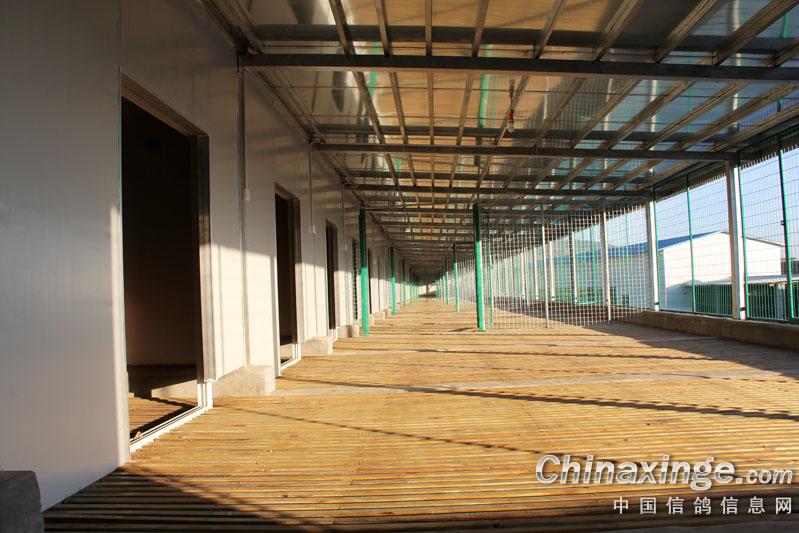 ��������½�����(ͼ)