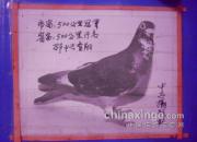 �������Ǽ�������ɶѪͳ(ͼ)