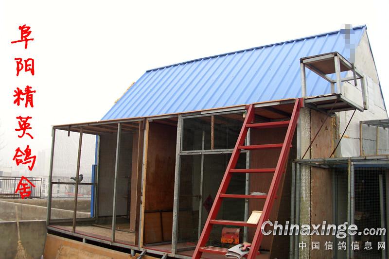 90��н����(ͼ)