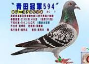 ̨������������ھ����ͣ�ͼ��