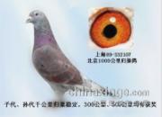 ��·֮�Ϻ��Ϻ칫