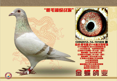 ����ë��