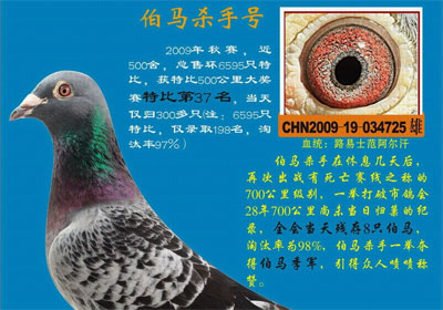 ְҵ���뽲��(��/ͼ)