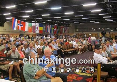 �ǵ�ʮ�߽��Ϸǰ�����Ԫ�Ÿ����(ͼ)