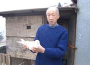 �������һ��������(ͼ)