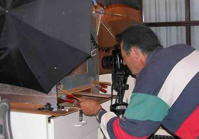 �����Լ���(ͼ)