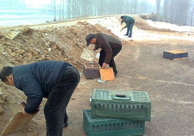 �����ʮ��һ��ѵ��(ͼ)