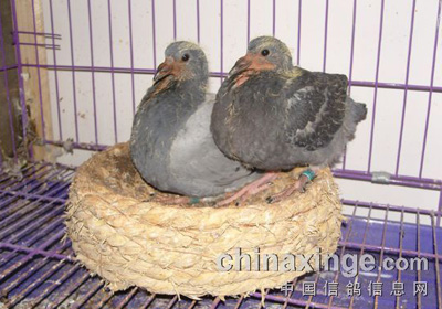 �ҵĹ���ѡ����(ͼ)