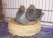 �ҵĹ���ѡ����(ͼ)