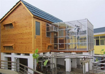 ɹɹ������Ѩ����(ͼ)