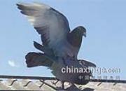 ����ͬ���Ǻ���