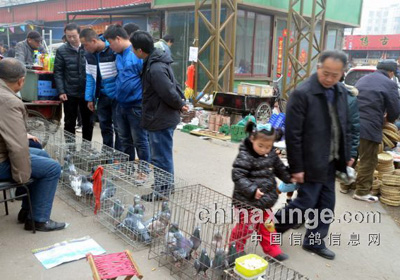 Ԫ���ڵĸ���(ͼ)