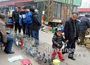 Ԫ���ڵĸ���(ͼ)