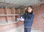 ���˿���ǿ���Ÿ�������