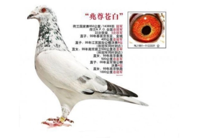 Ψ�С��԰ס����԰�