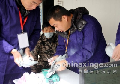 �����ɺ紺������ʵ(ͼ)