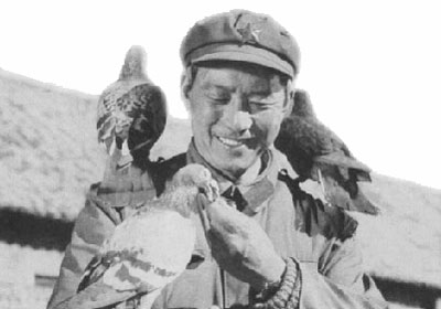 �й���������������Ĺ���������