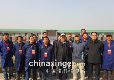 ������ƽ�������4207������(ͼ)