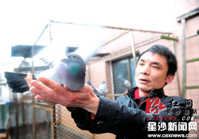 ��ɳ�������˵ġ�����������(ͼ)