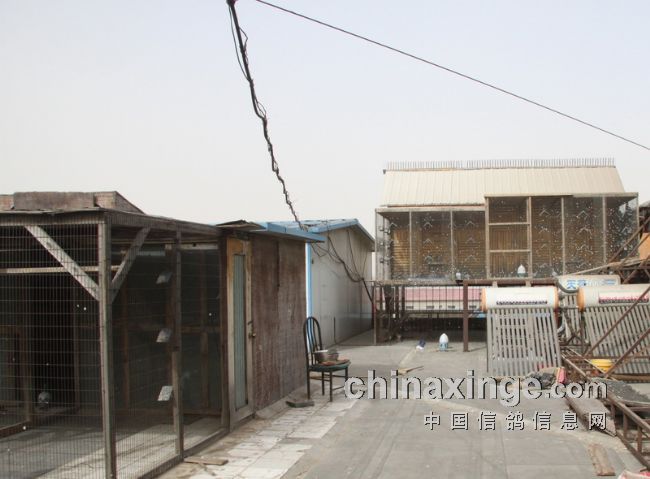 �������������ĸ���(ͼ)