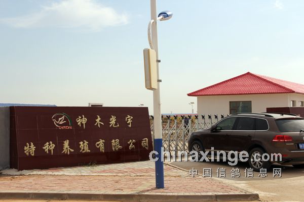 ȫ��Ωһ�������׸�����Ĺ���(ͼ)