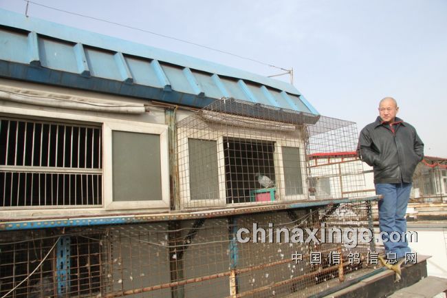 ���������Ʊ����(ͼ)