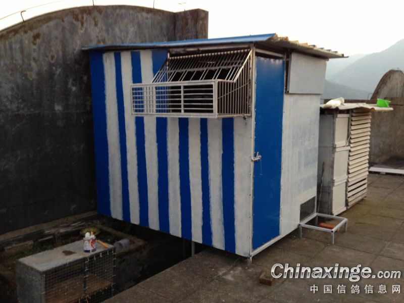 2013�����ػ�����(ͼ)