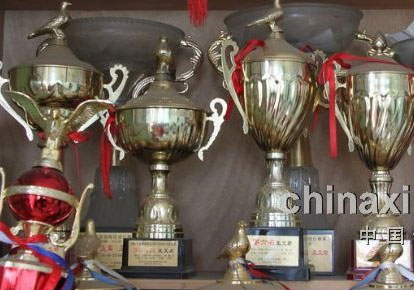 ר�ã������������ľ�����(ͼ)