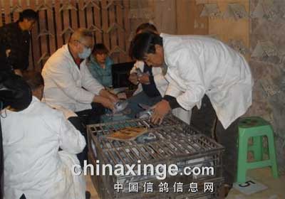 ���ݴ��԰��������3579������(ͼ)