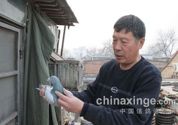 ��ͬ�������ھ�֮��ΰӢ����(ͼ)