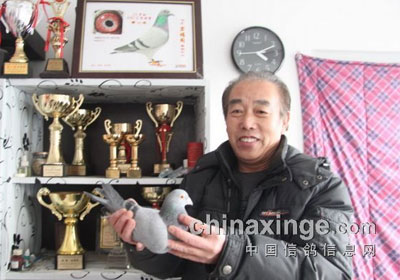 ������ͬ�������衸���(ͼ)