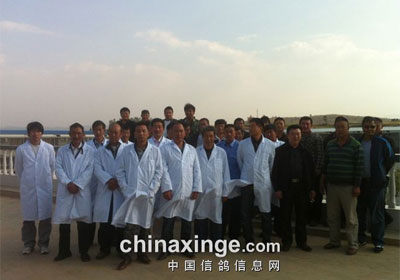 ���ﴺ�����죺���ϲ���Ԥ���ɼ���¯(ͼ)