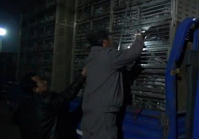 ��ɽ��ˮ���ֲ���վ���������(��Ƶ)