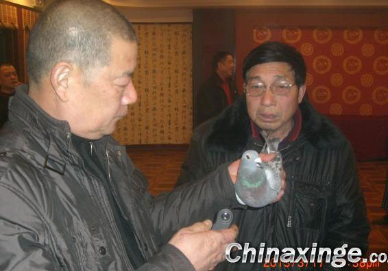 ���Բ��� �����ɲ���(ͼ)