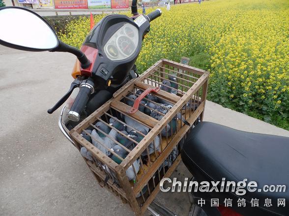 �Ͳ˻���ѵ��ʱ(ͼ)