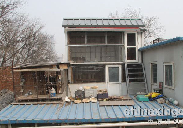 �˺ø�õı������ֹ����(ͼ)