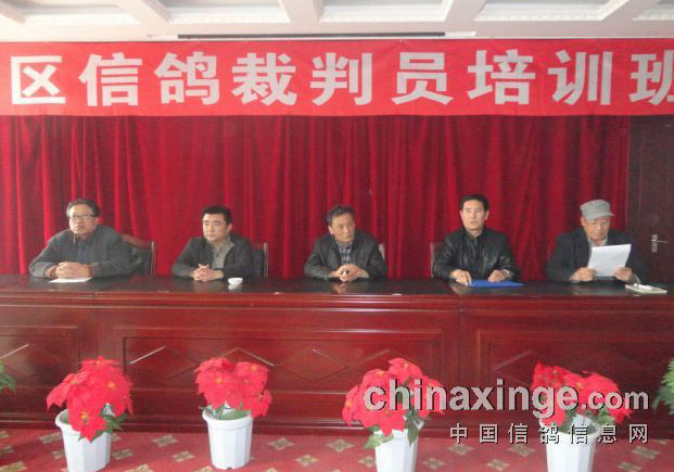 �����Ÿ�Э��ٰ����Ա��ѵ��(ͼ)