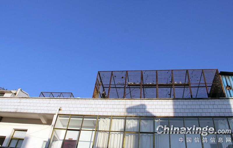 �����쿡����ιۼ�