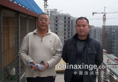 ����������������300�������(ͼ)