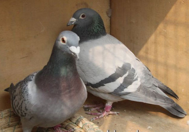 ����ʱ�����̸��¼��Ƶ(������)