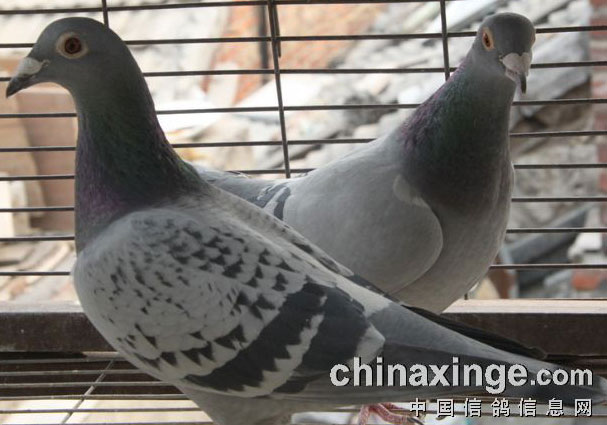 ����ʱ�����̸��¼��Ƶ(�ڶ���)