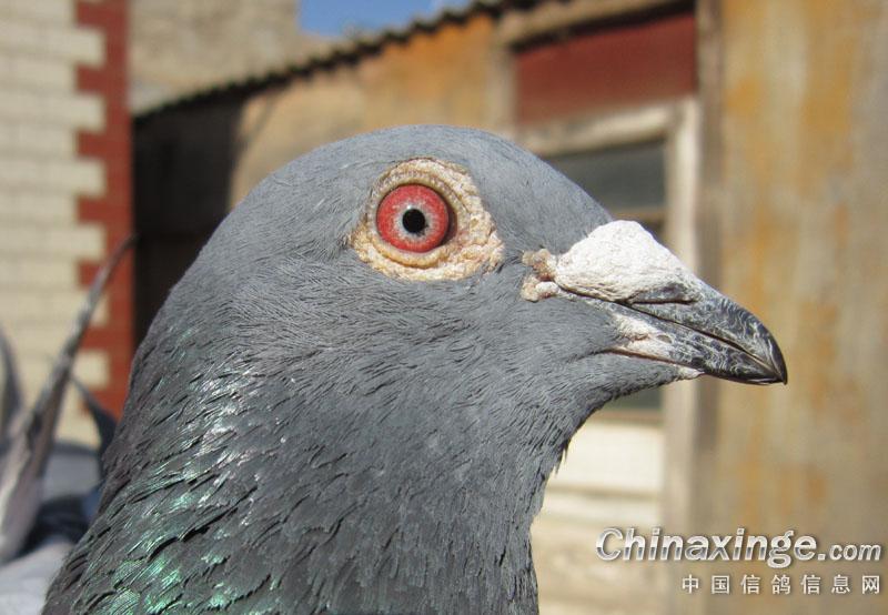 ��������350����ھ�(ͼ)