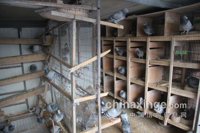 ����������ı�����Զ������(ͼ)