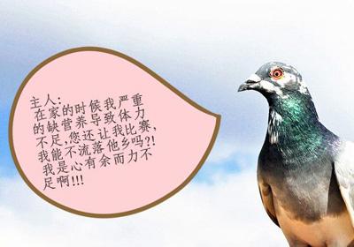 ���ø��ӱ��ڹ�